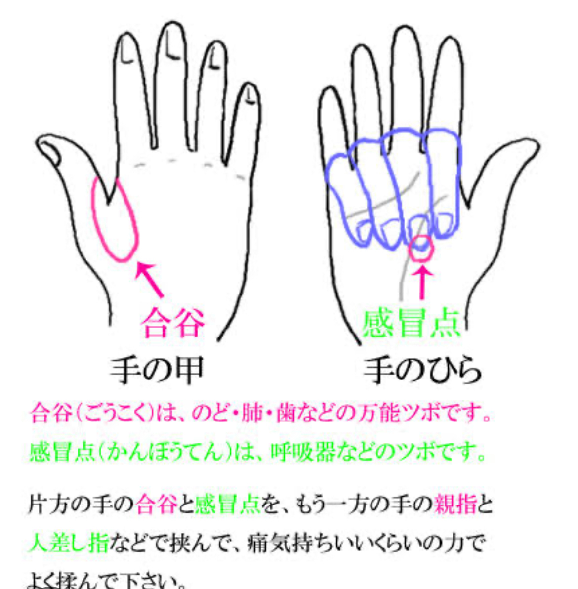 バストアップのツボは…（その5）