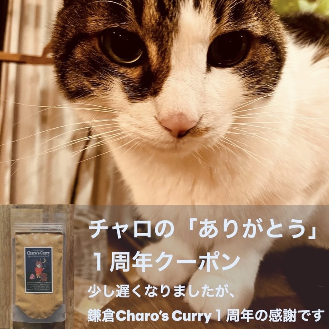 チャロの『ありがとう』一周年クーポン