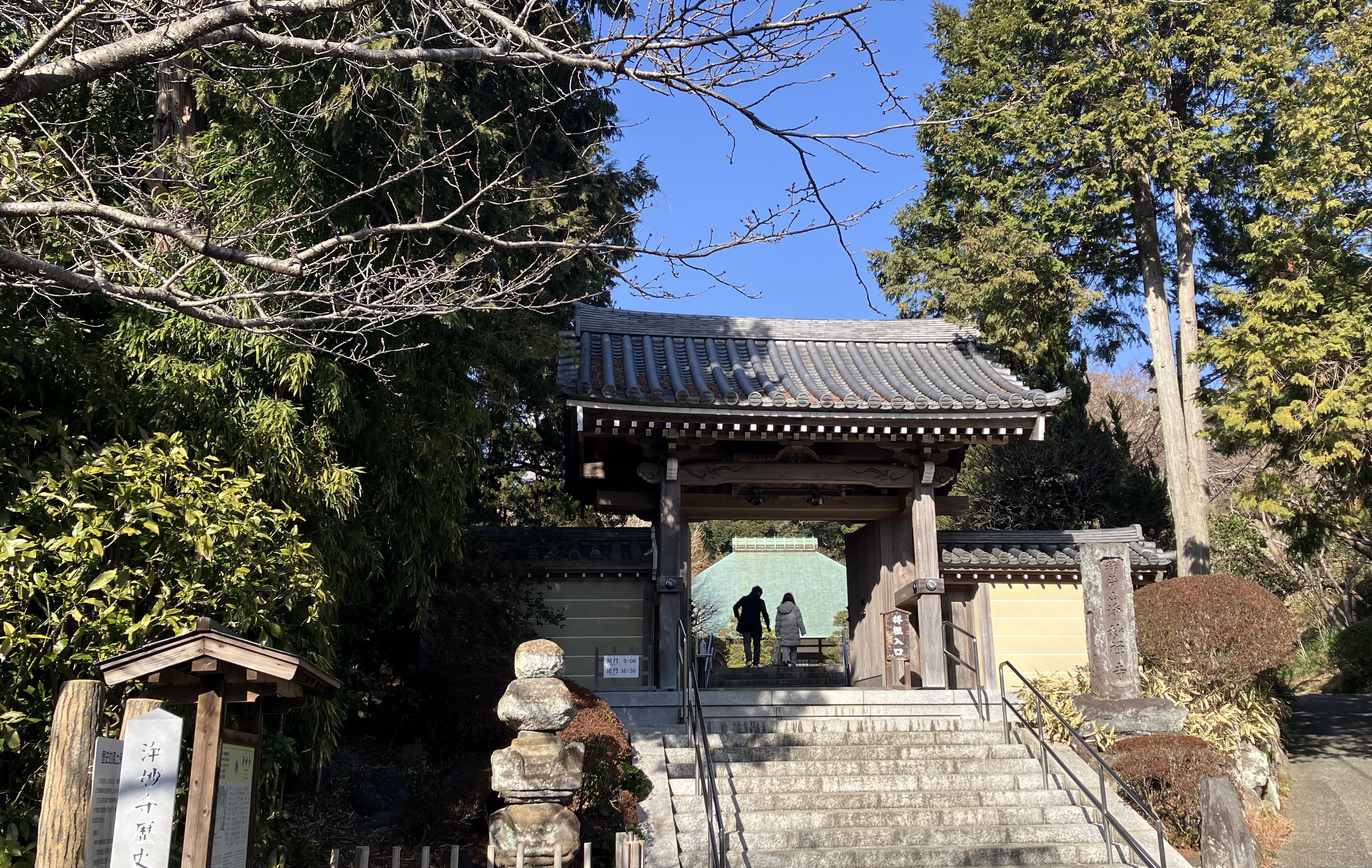 本日の鎌倉・浄妙寺はお散歩日和、多くの人々で賑わっていました！
