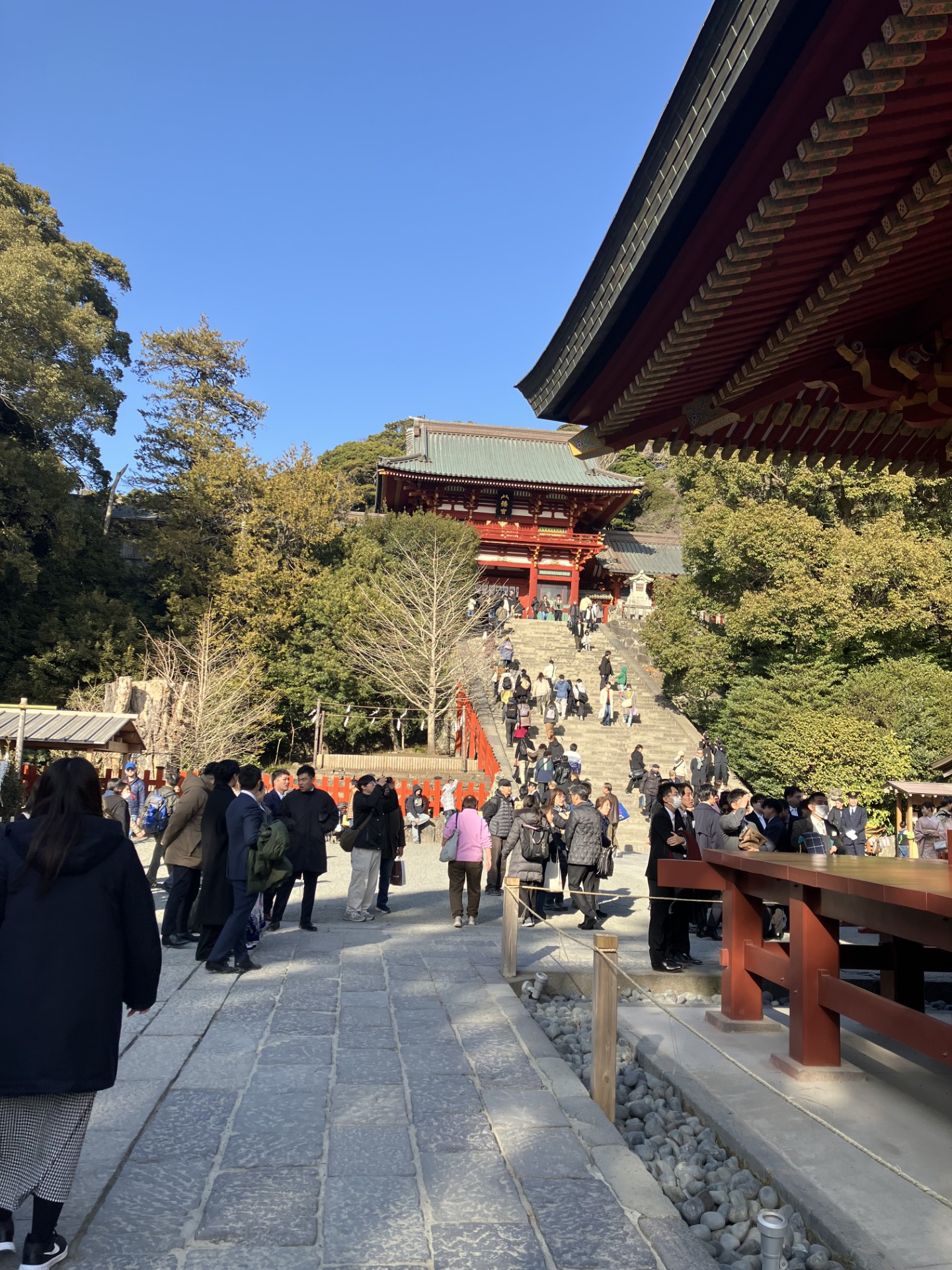 天気が良いので鎌倉・鶴岡八幡宮から海蔵寺までお散歩しました！