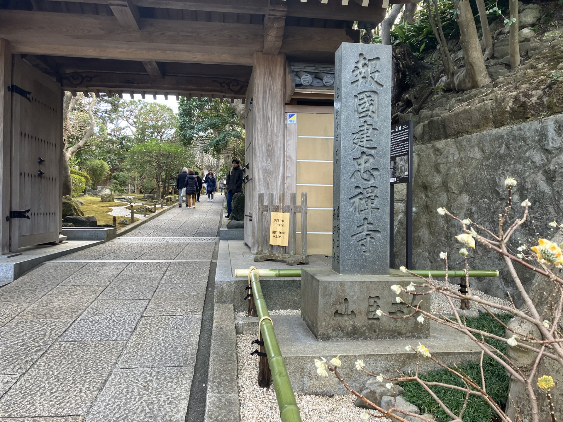 本日の鎌倉・報国寺はお散歩日和、多くの人々で賑わっていました！