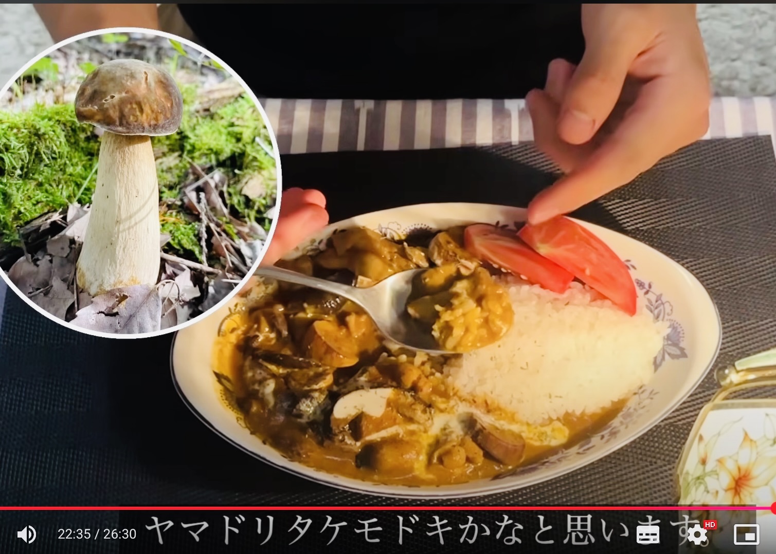 野草・山菜きのこ図鑑』著者HSさんのyoutubeチャンネルで天然きのこカレーが紹介されました！