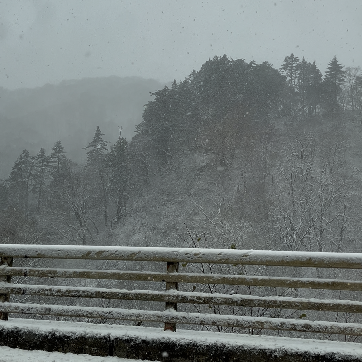 古着仕入れの日