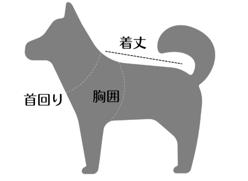 サイズ採寸について