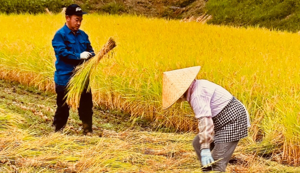 購入前に必ずお読みください
