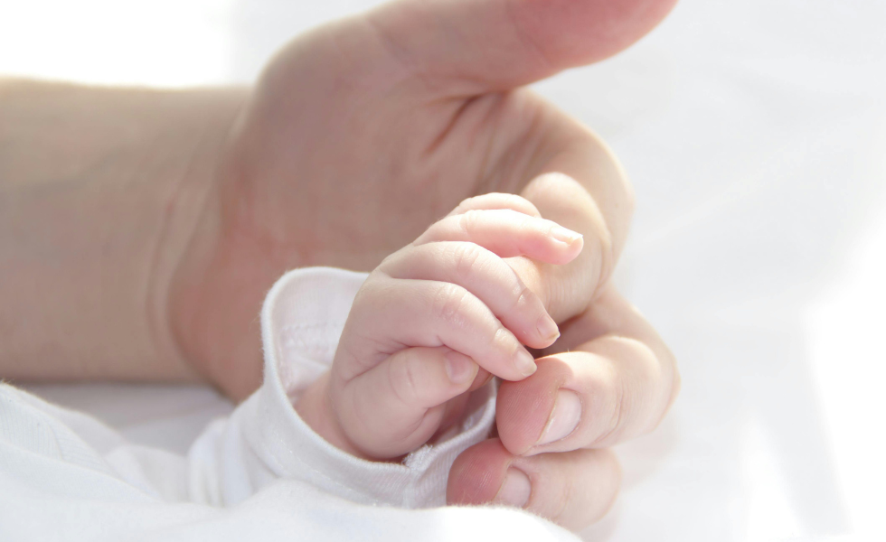 【🕊imamoの読みもの BLOGスタート】