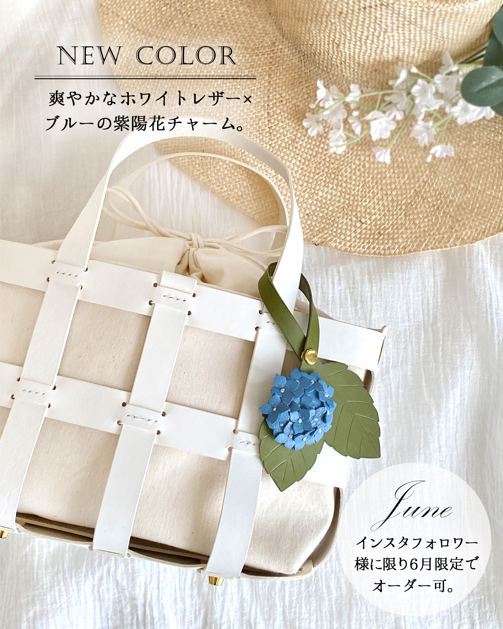 6月限定ホワイトカラー発売！