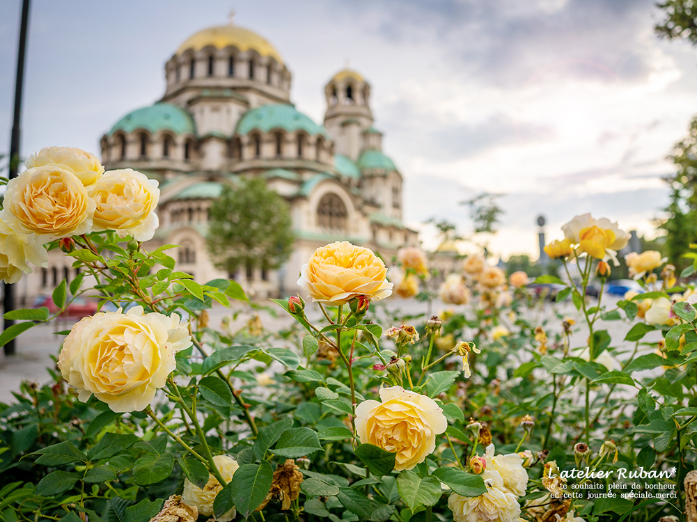 【発送予定】ご注文頂きましてありがとうございます。