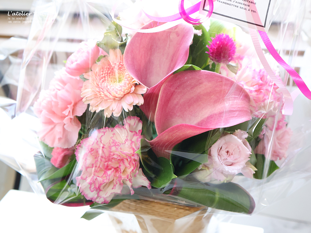 2月25日:今週の予定