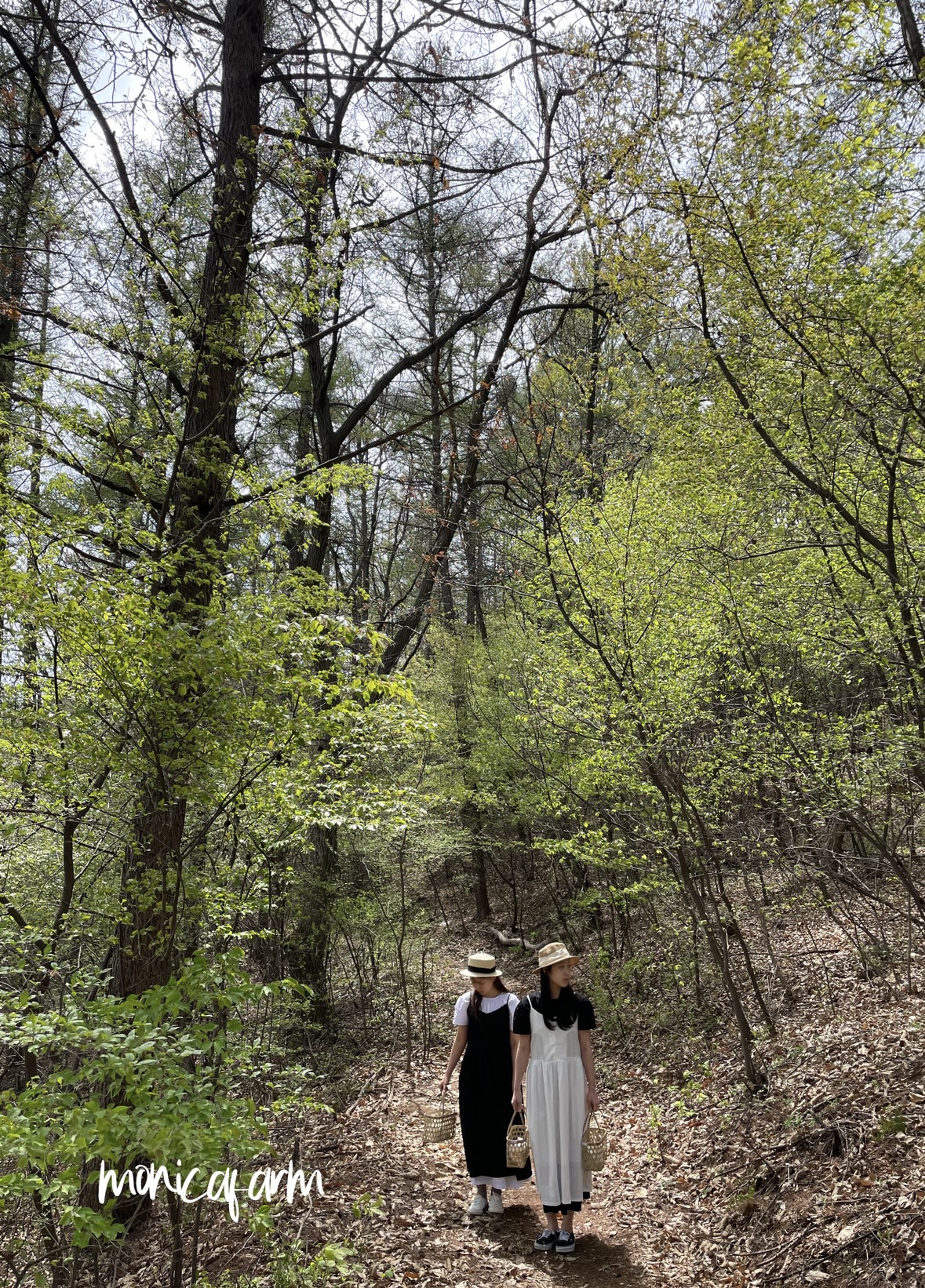 🎈植木玉泉院　ワクワクマルシェ出店🎈