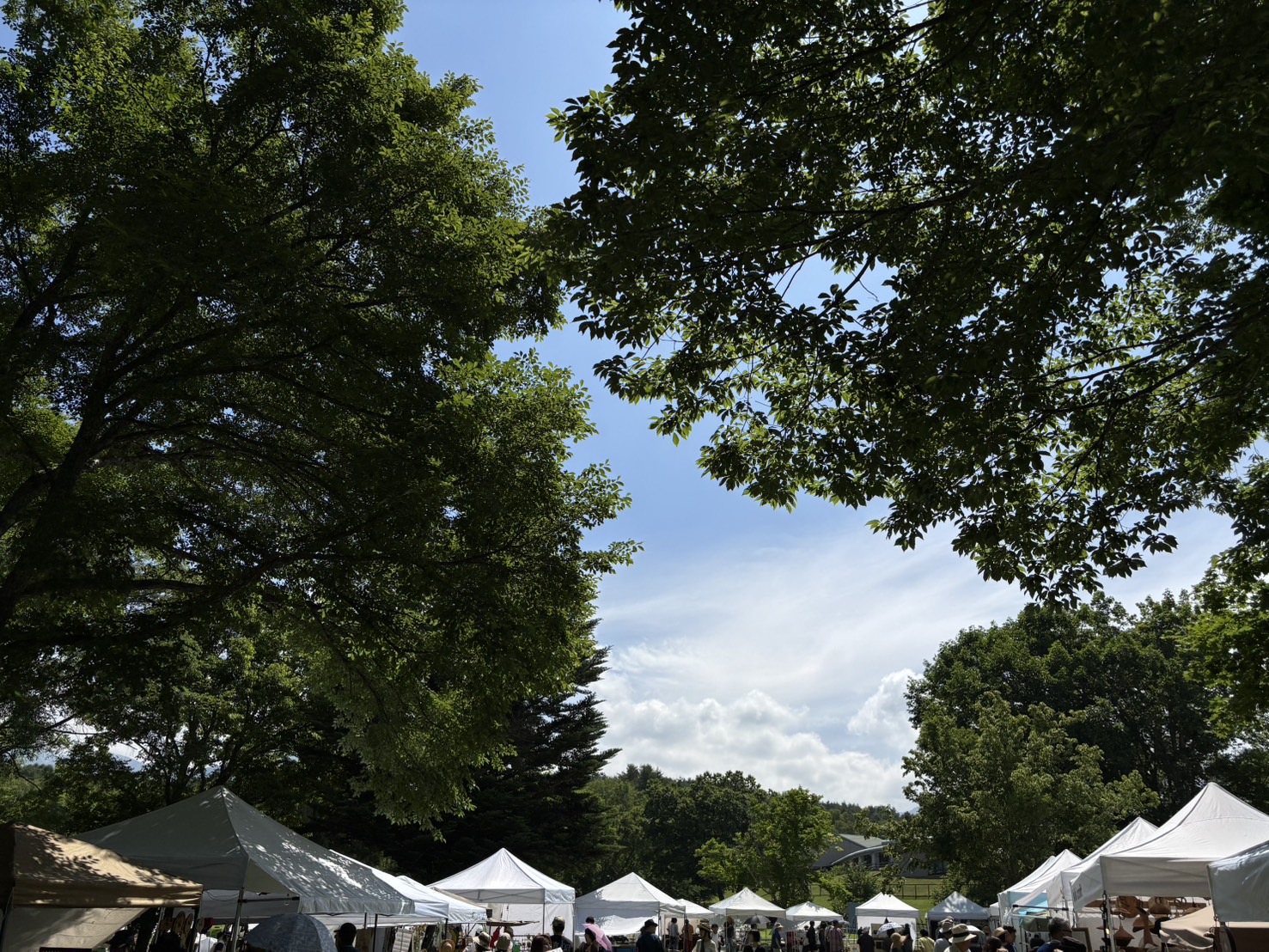 八ヶ岳クラフト市に出展してきました