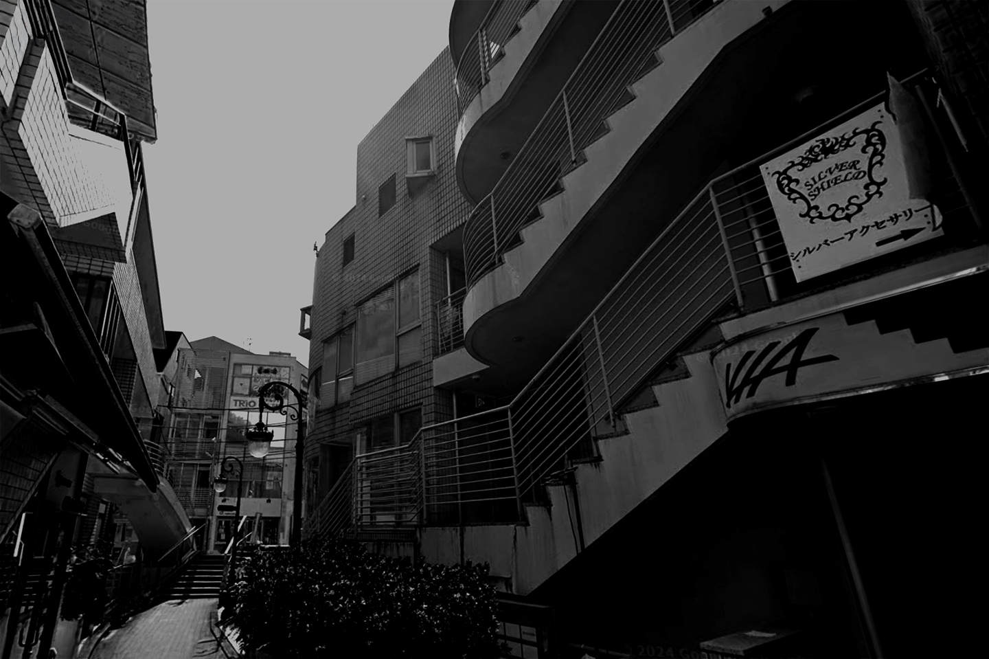　- 取扱店舗のご案内