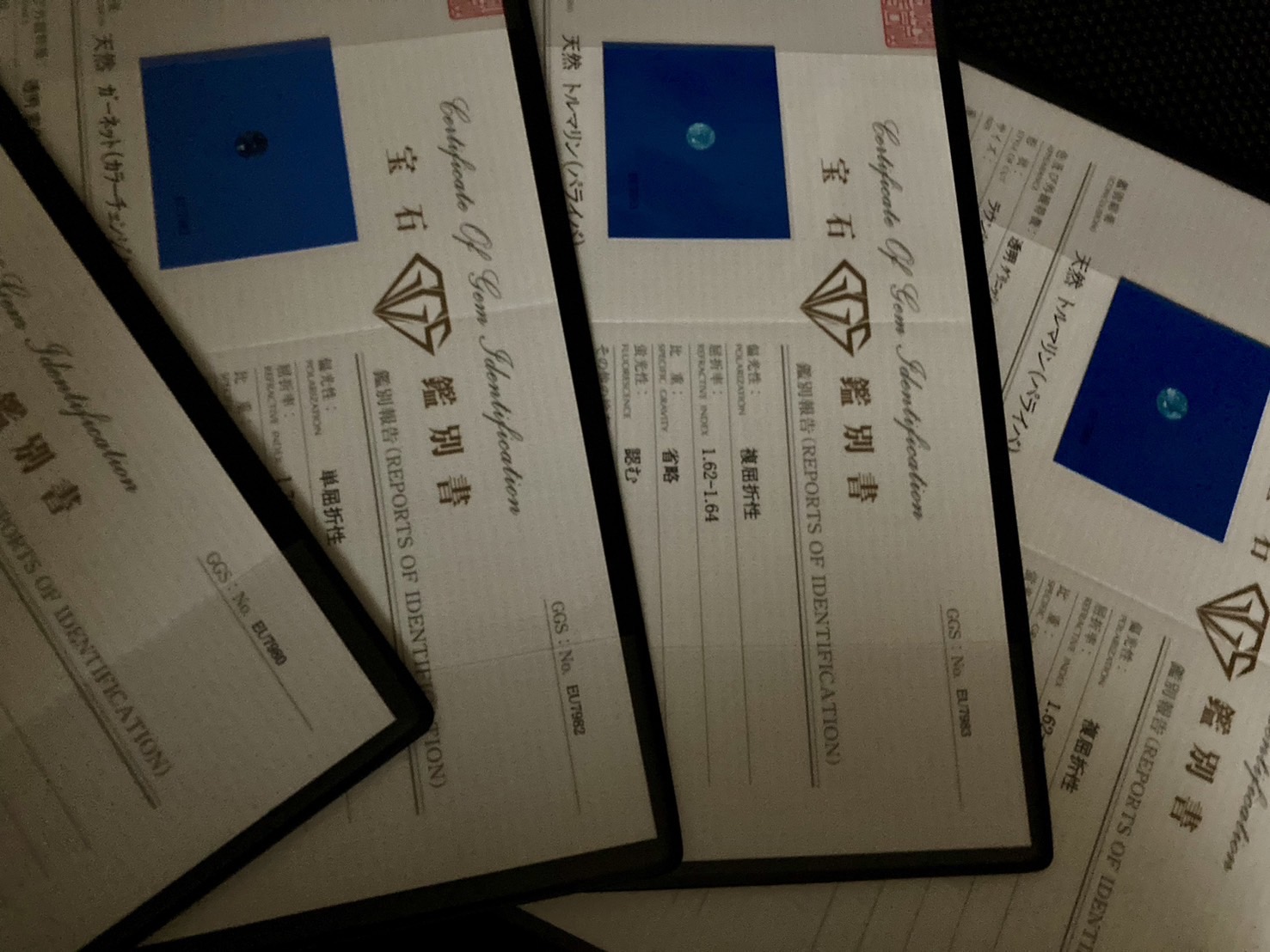 パライバ、ベキリー鑑別