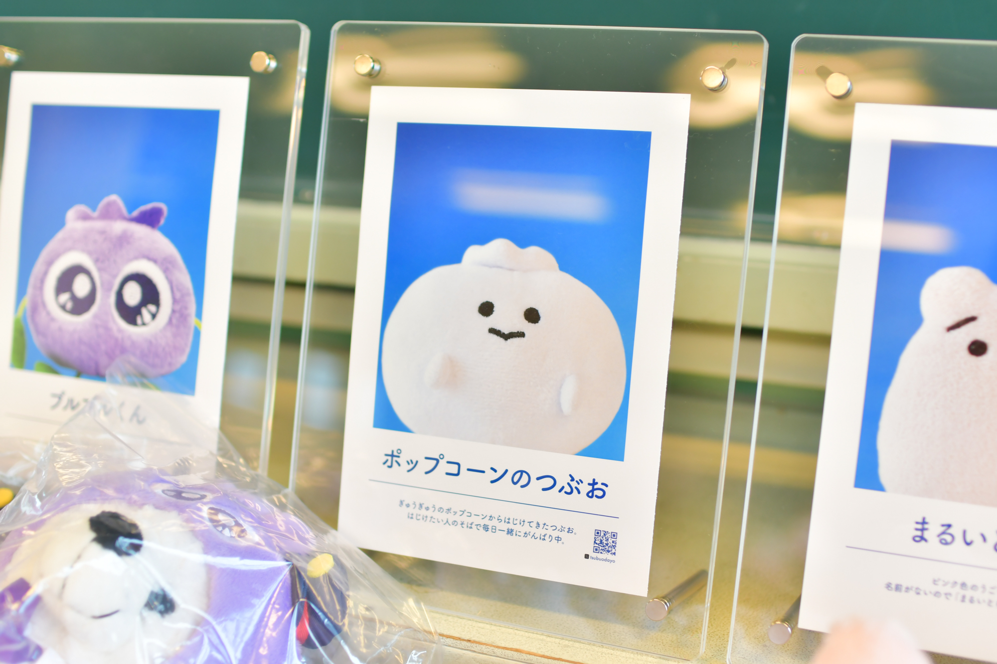【6/26-28】ぬいぐるみの学校に出展します🏫