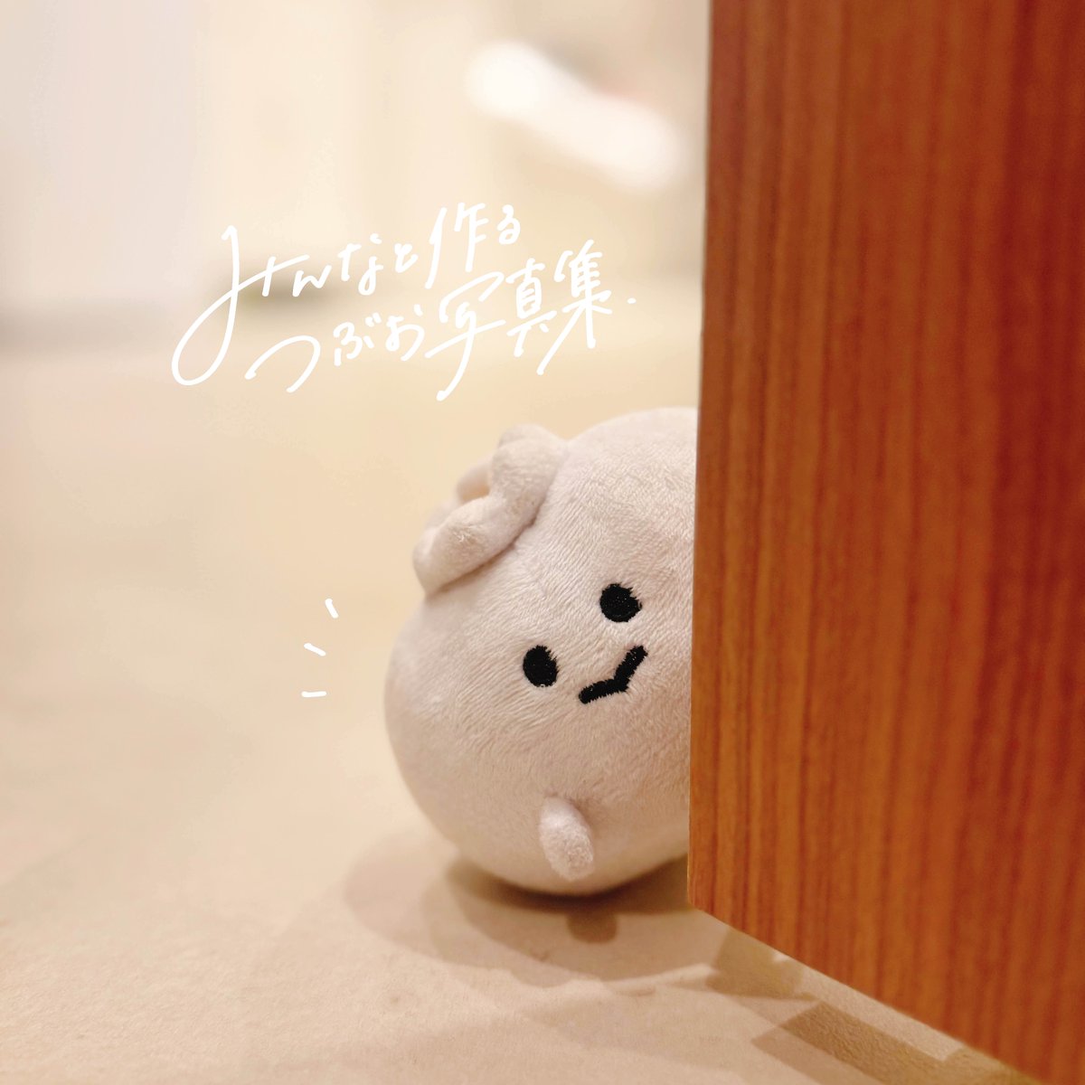 みんなと作るつぶお写真集 企画 第2弾開催決定🎉🎉