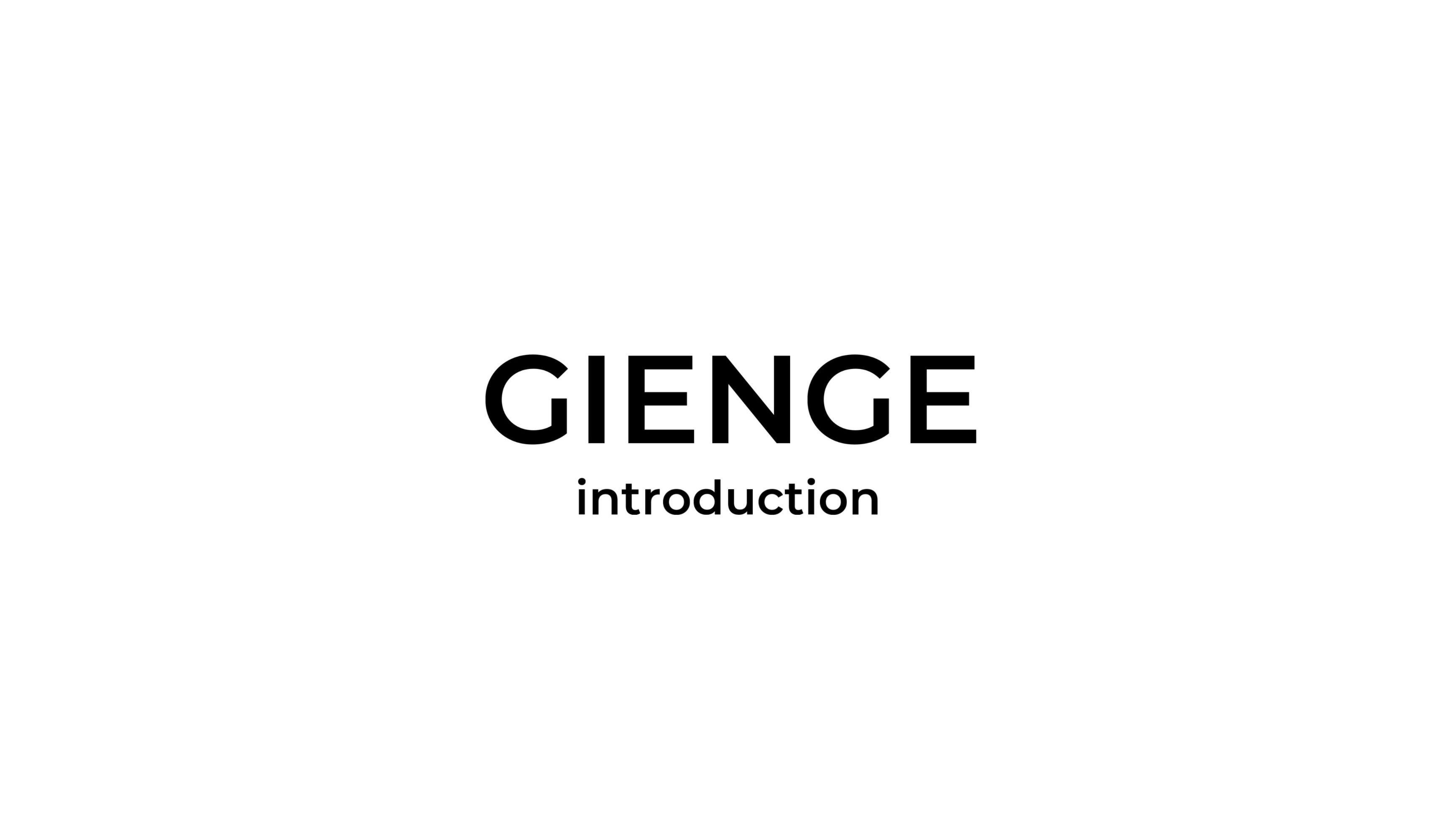 GIENGEについて
