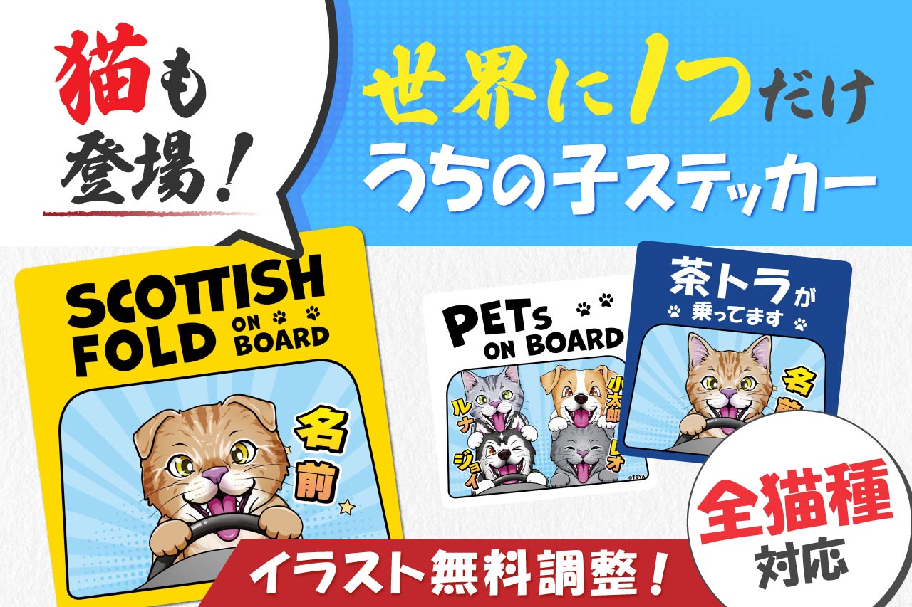 遂に猫ちゃん登場!!