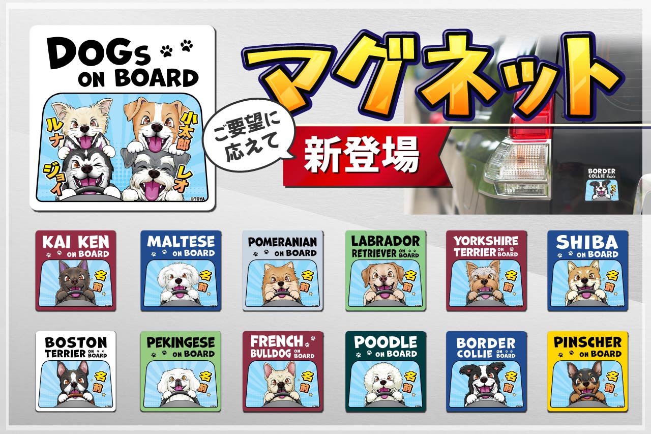 マグネット新登場