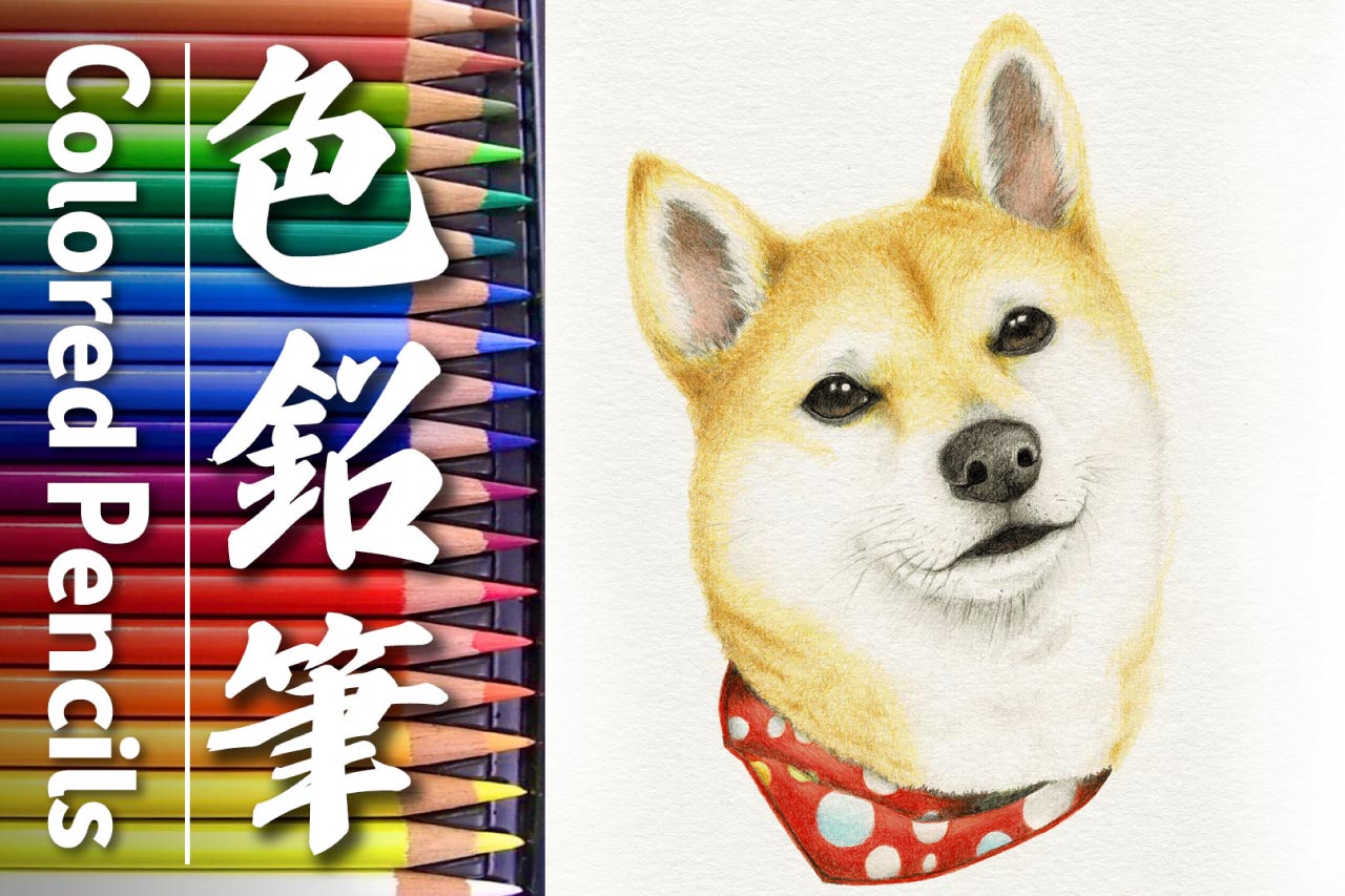 色鉛筆で描くペット似顔絵(柴犬ももちゃん編)