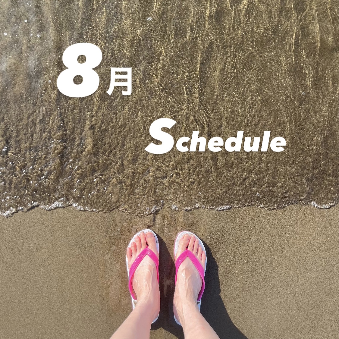 8月🍉schedule