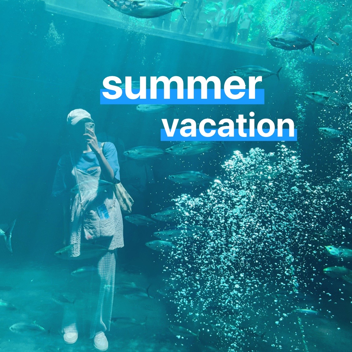 夏季休暇のお知らせ📢