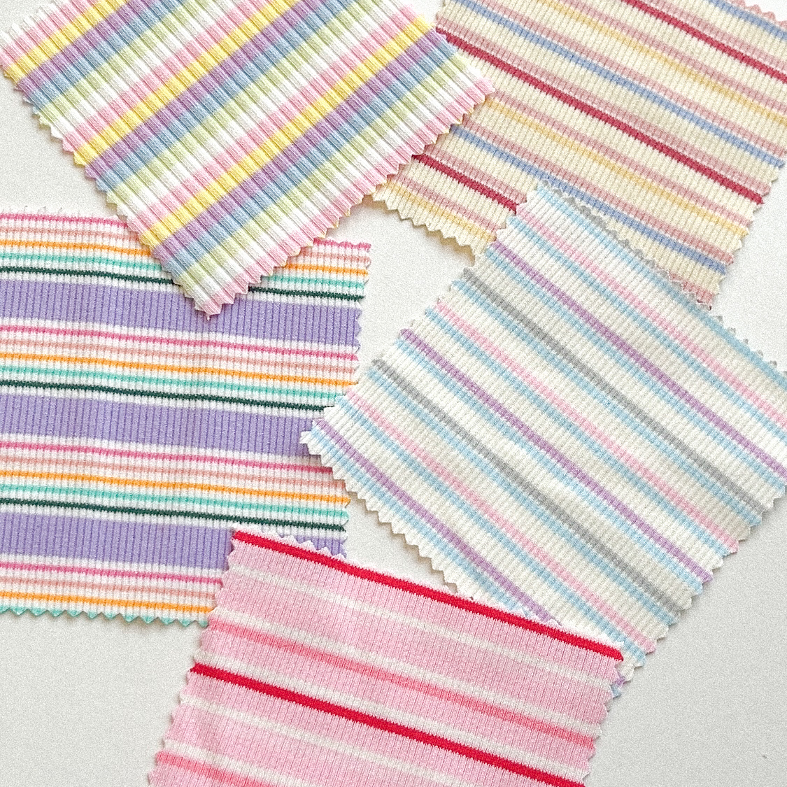 今後のスケジュール🗓️