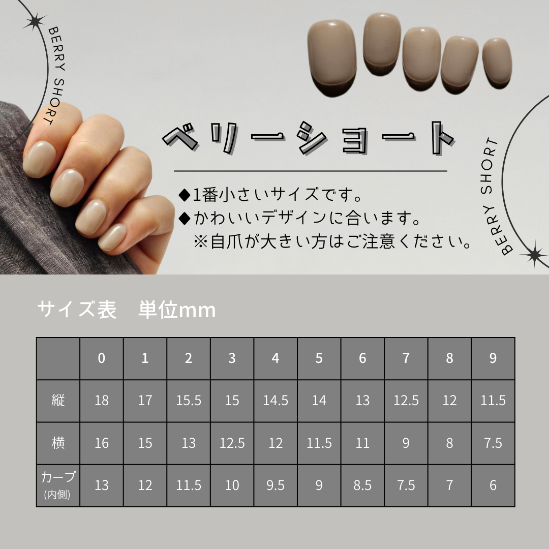 チップの種類について