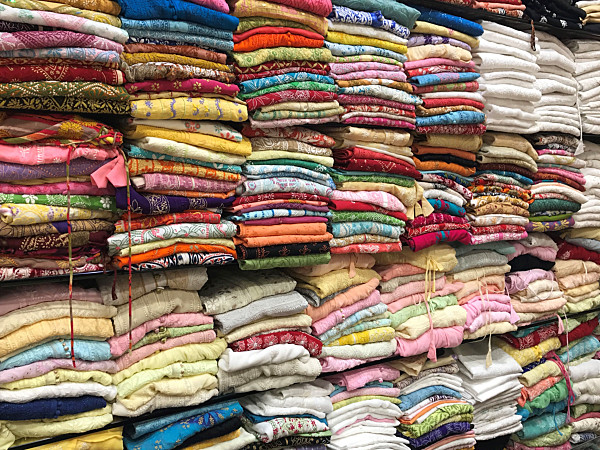 ラクナウの伝統刺繍チカンカリ