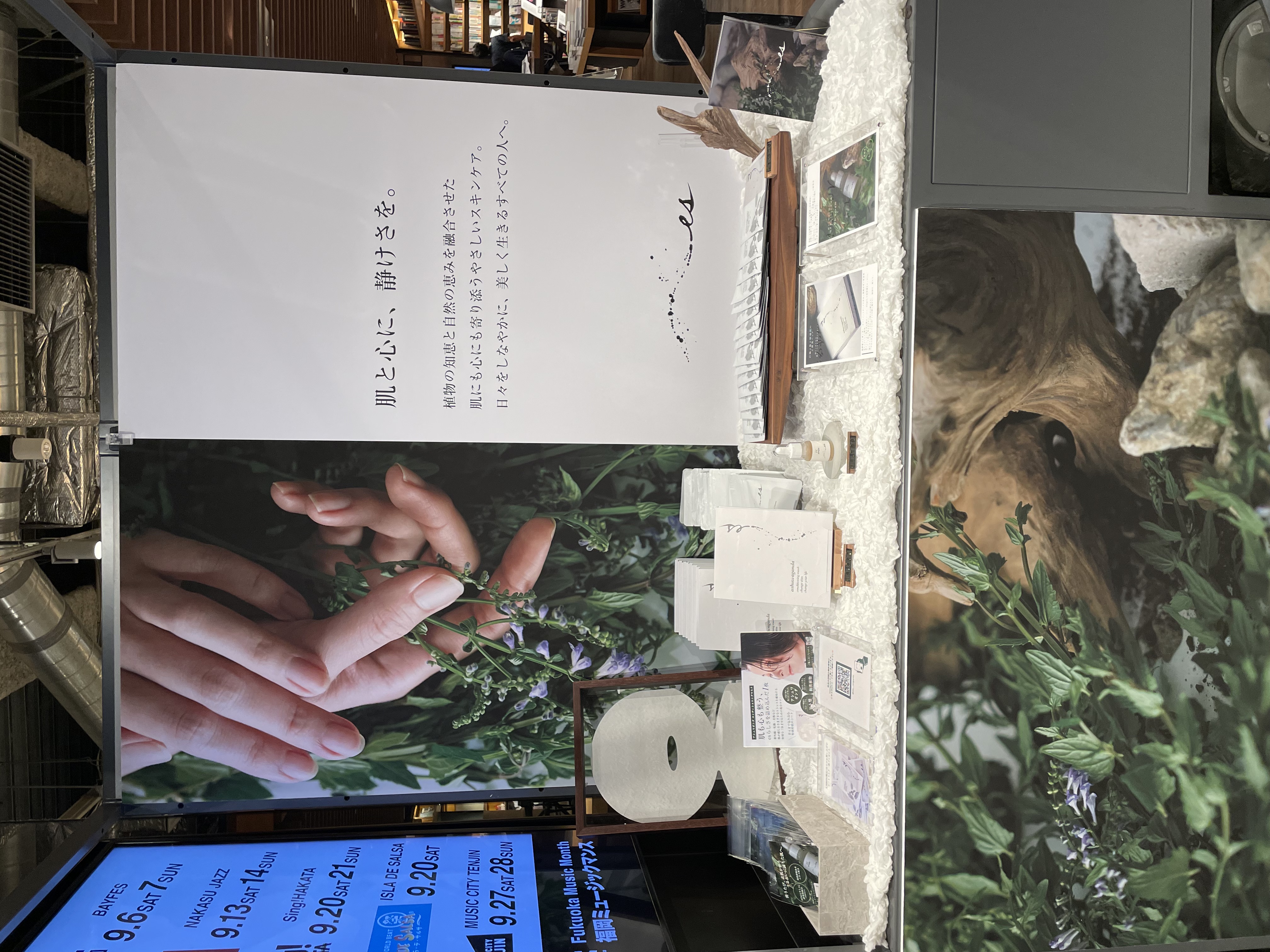 本日より初開催POPUP