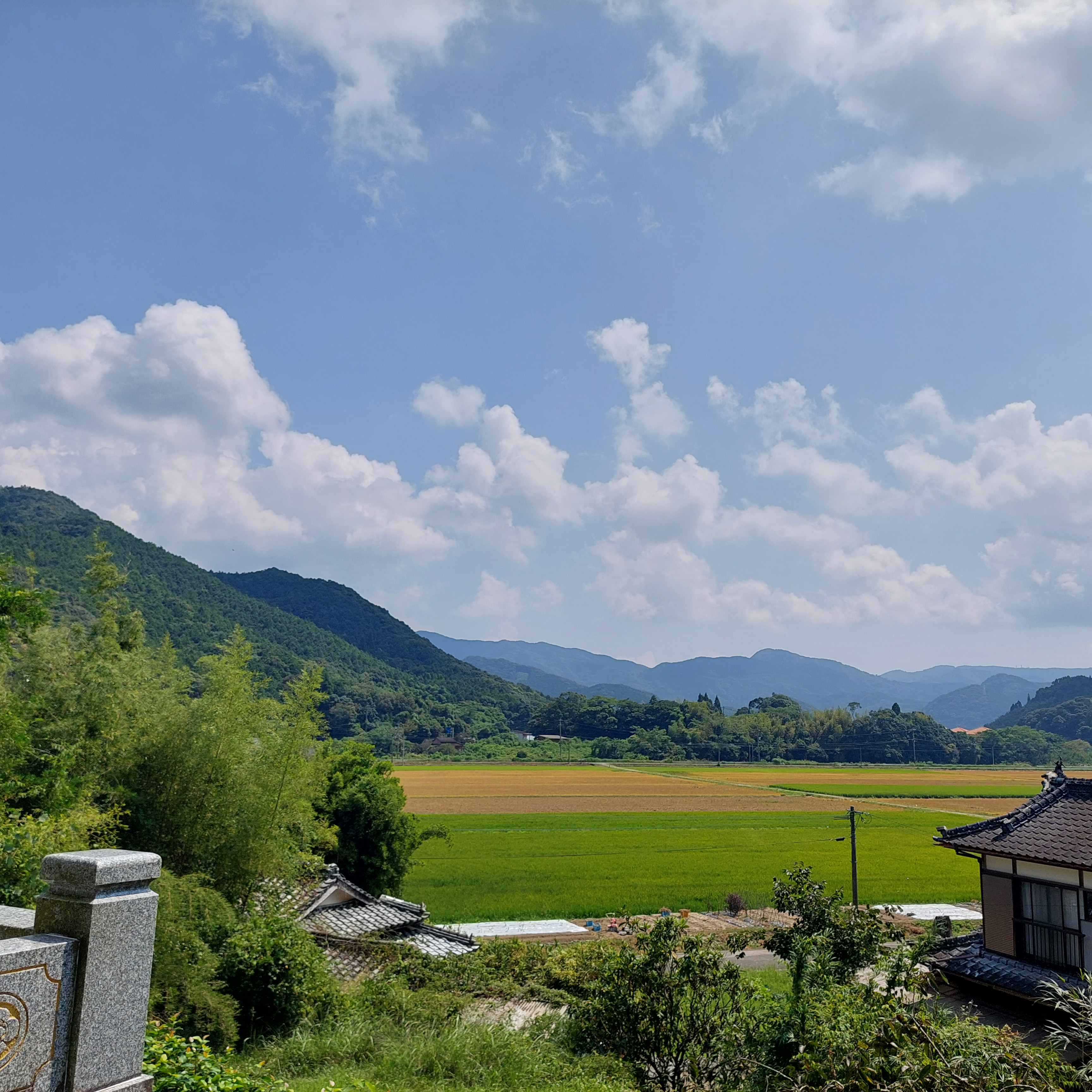 まだ夏