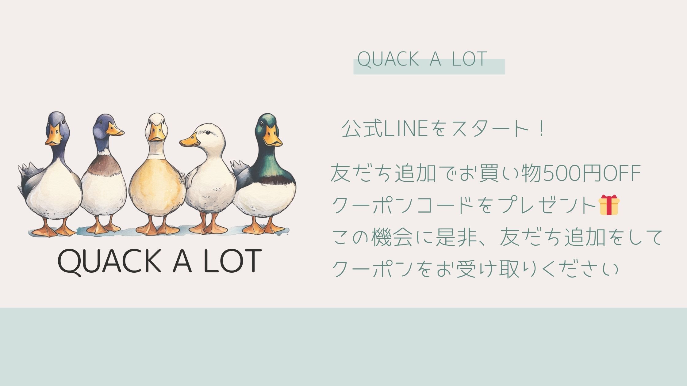 QUACK A LOT 公式LINEはじめました！