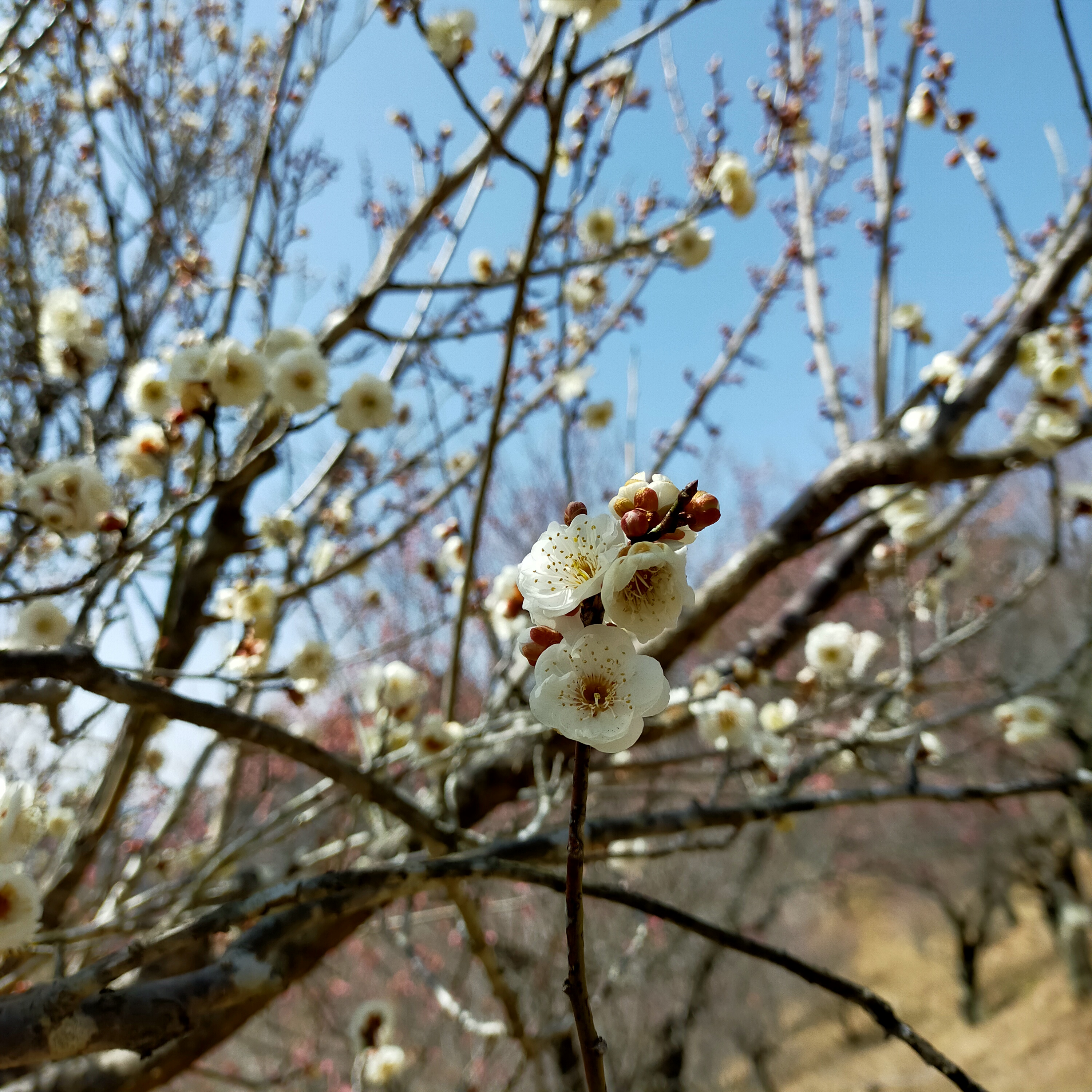 日、月は定休日です。