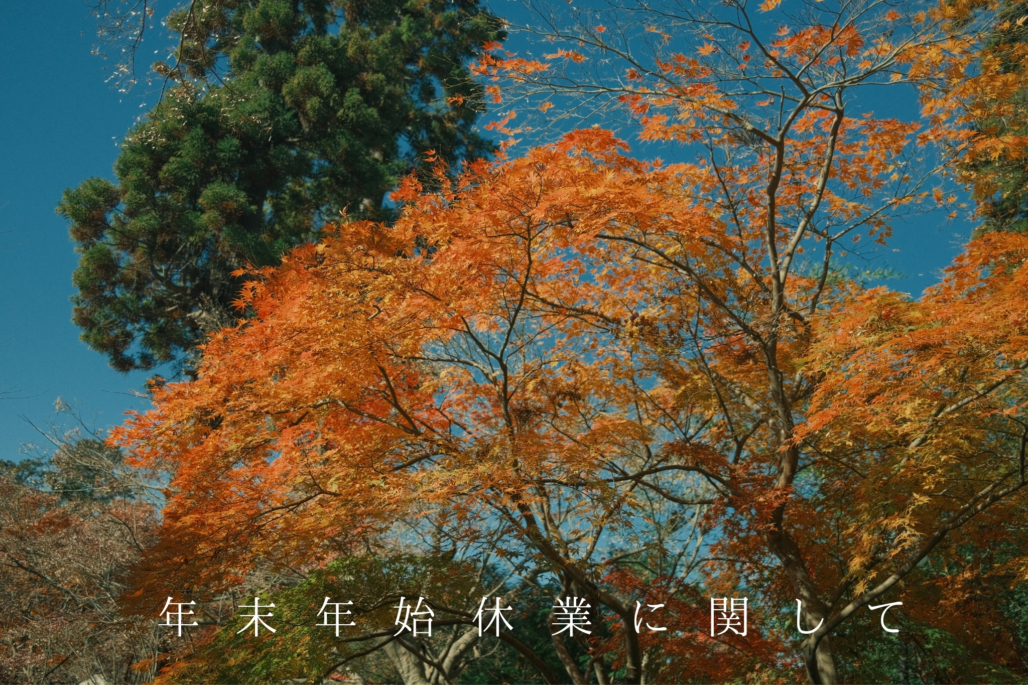 年末年始休業に伴う発送＆お問い合わせ対応のお知らせ