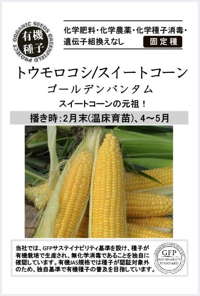 固定種のとうもろこし「ゴールデンバンタム」が一般的に売られていた時代が、なぜF1種に移り変わったか？