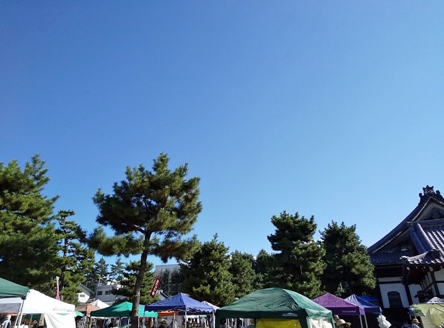 ありがとうございました