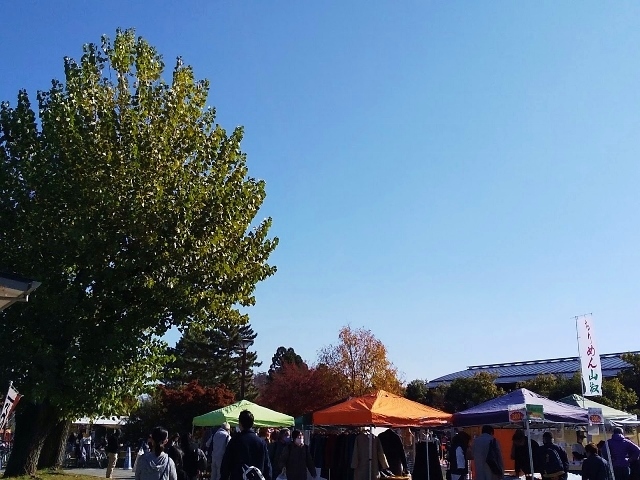小春日和の一日