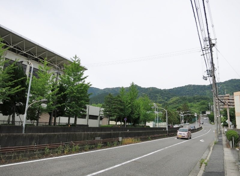 風に吹かれて