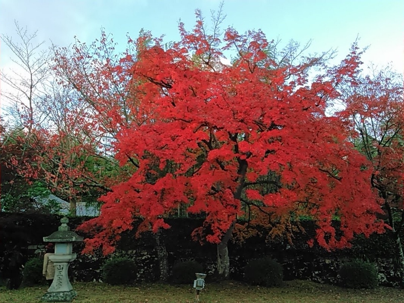 沈黙
