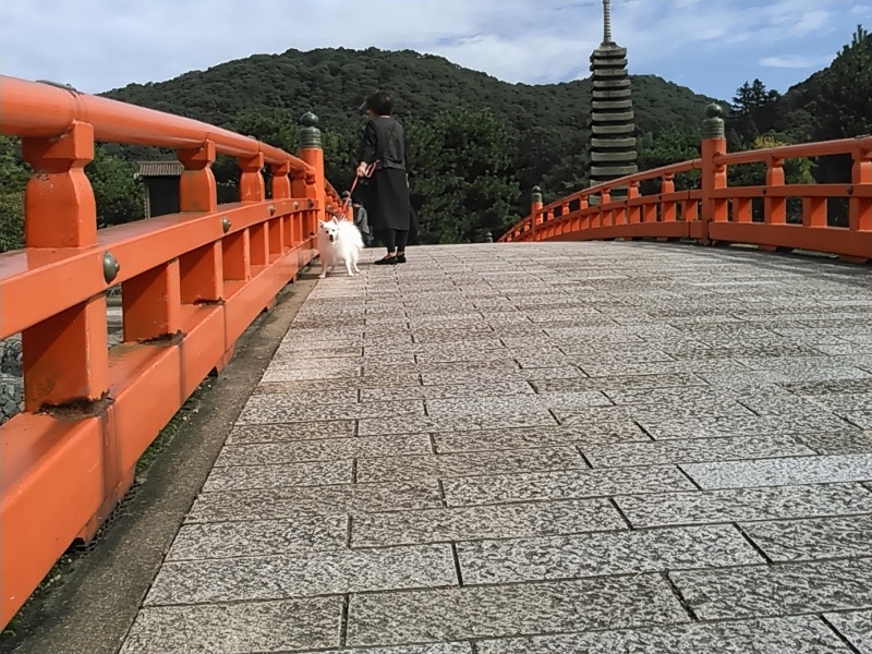 ちょこっと宇治まで