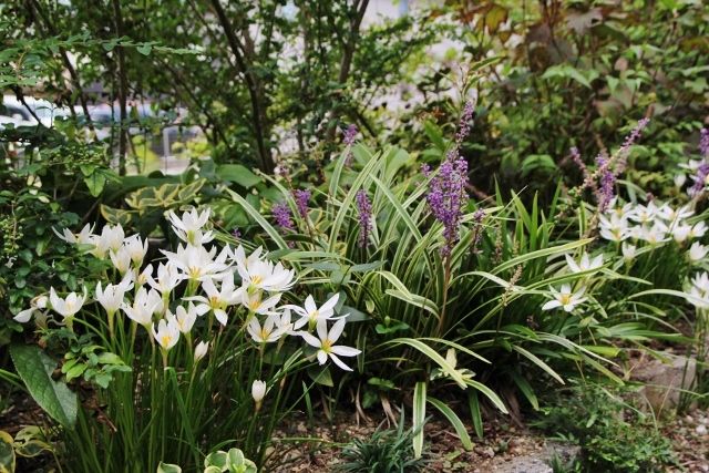 お天気に恵まれました