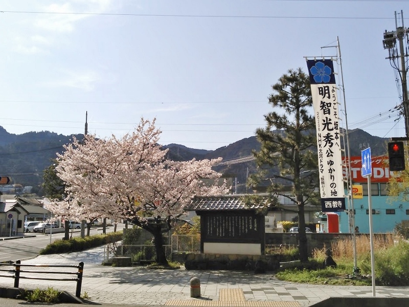 さくらさく