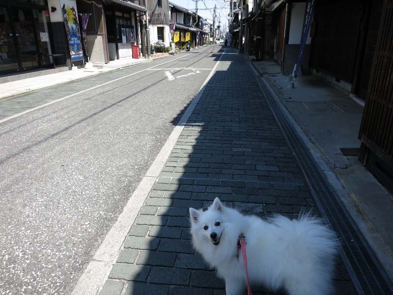 プチ半日旅行