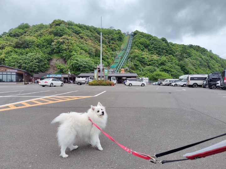 三方五湖ワンdayドライブ