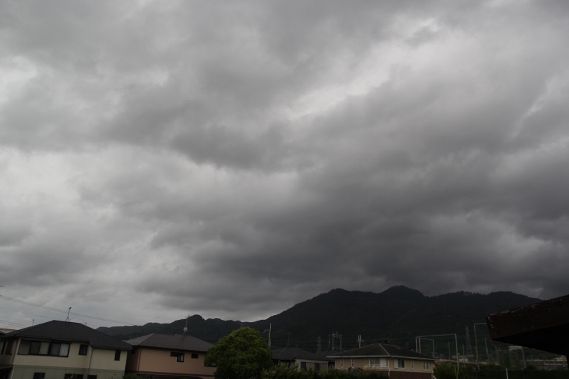 あわあわ 神泡