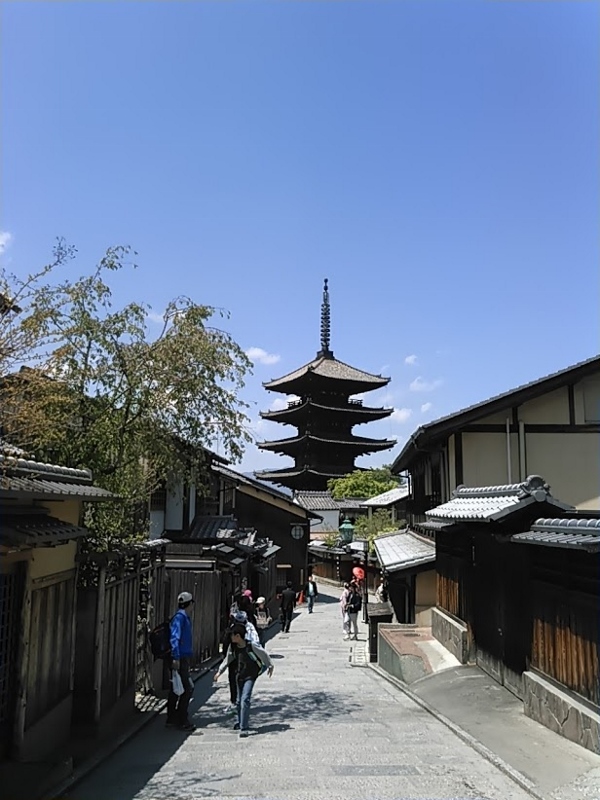 春の京都ランチDAY