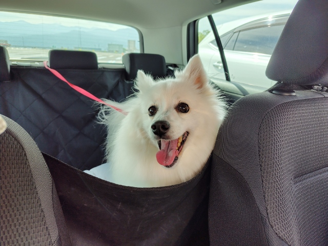 思い出づくり旅行記