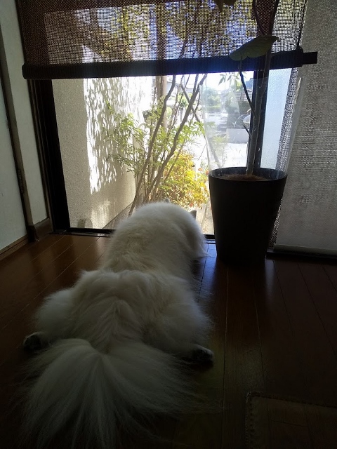 継ぐもの