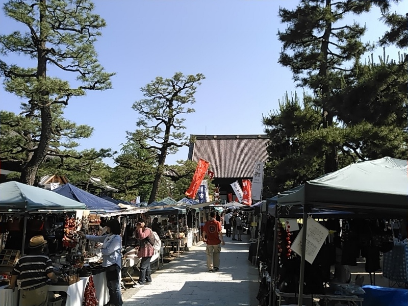 五月晴れ