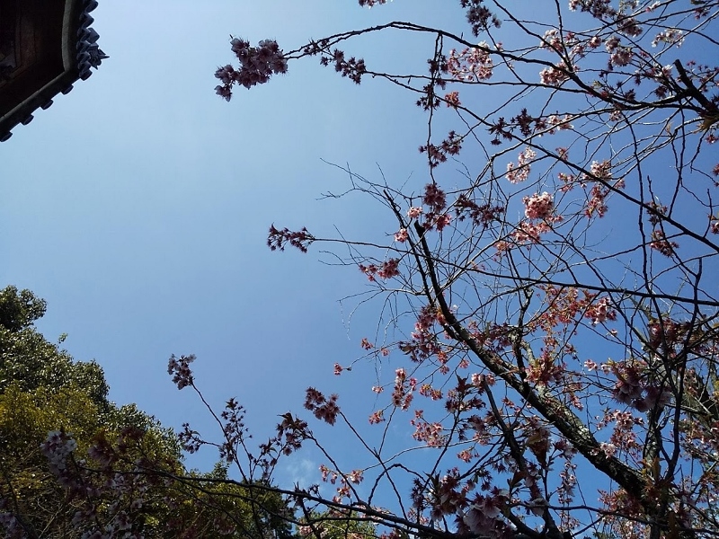 ありがとうございました