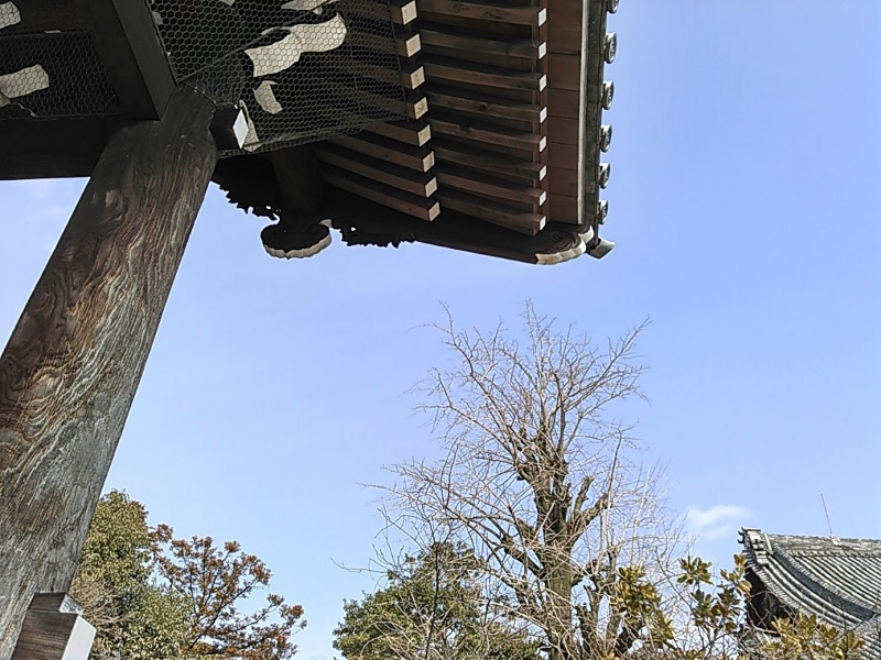 ありがとうございました